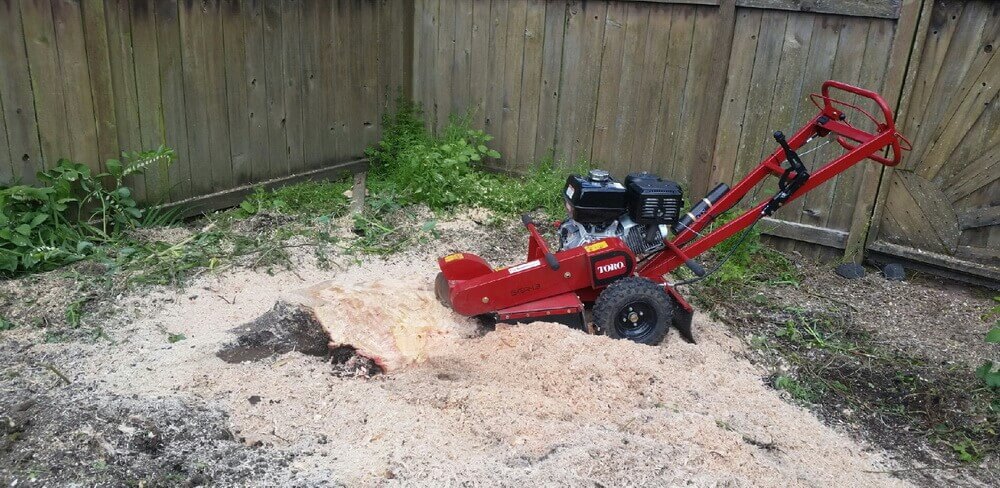 Stump-Grinding-danshaplandscape-after