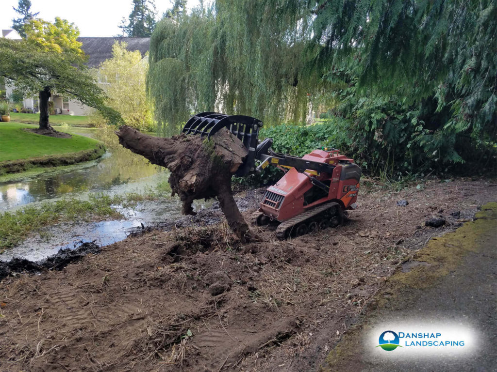 Stump-Grinding-Danshaplandscape-3